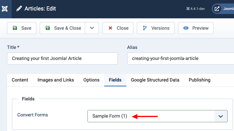 acf-convertforms-usage