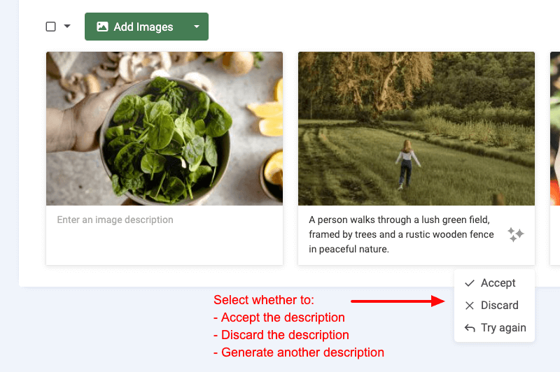 Accept, reject, or try again generated image description using AI